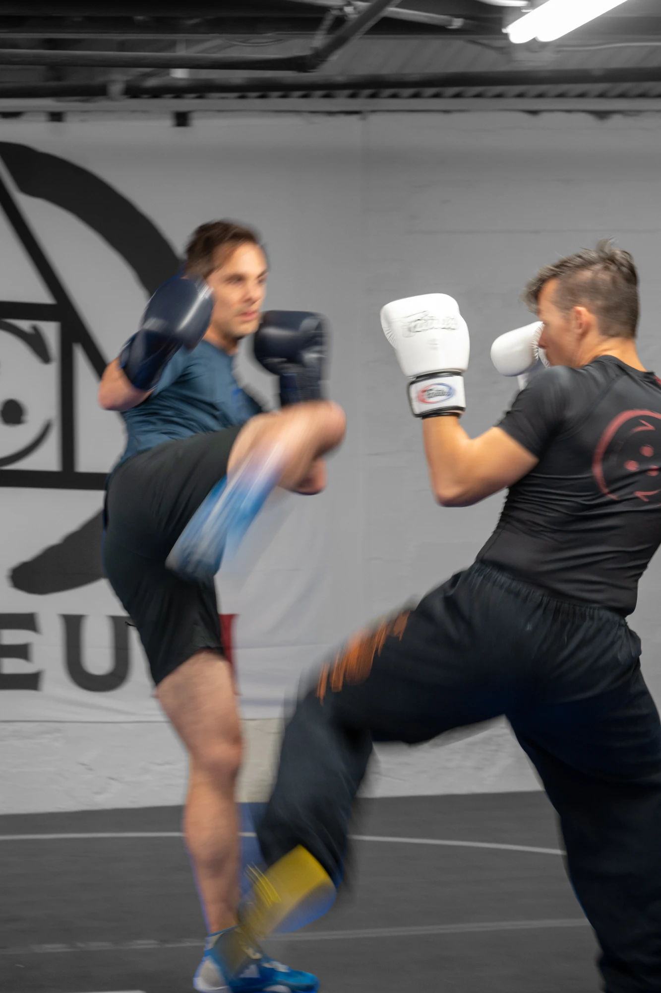 Savate partners practicing a high kick and defensive movement
